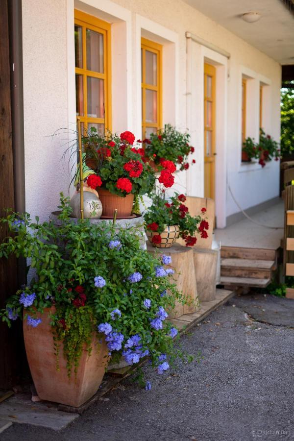 Gostilna Logar Hotel Hotemaze Buitenkant foto